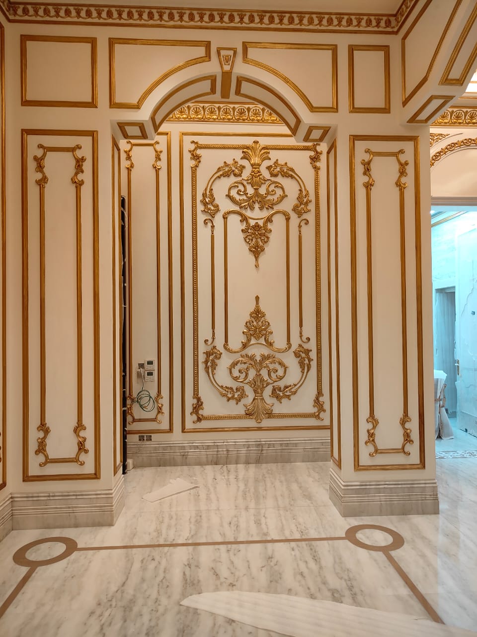 Premium Mural by MNayakArts Atelier Jaipur